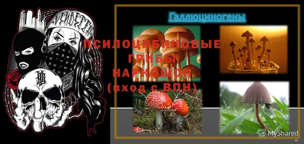 марихуана Абаза