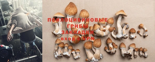 а пвп мука Абдулино