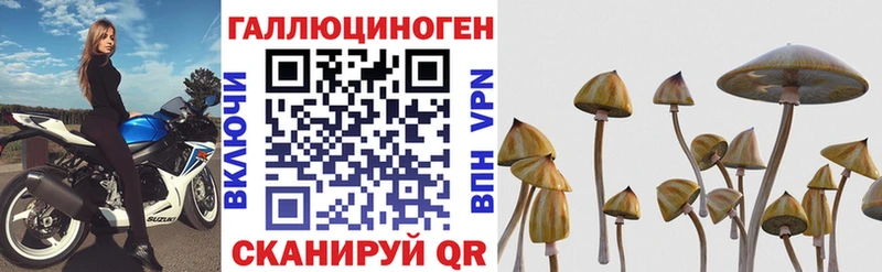 Псилоцибиновые грибы ЛСД  сайты даркнета Telegram  Александров  хочу  